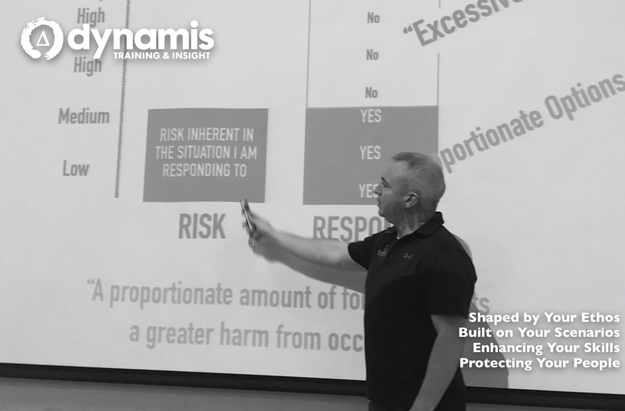 Image of a Dynamis training session