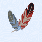 The Feathers - wisdom and freedom in every flutter