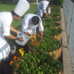 agriculturebox chefs cropping - vertical