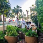 agriculturebox header image 1