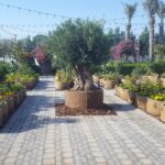 agriculturebox header image 4