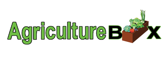 Logo for AgricultureBox, featuring the word 'Agriculture' in green on a black background, and 'Box' in white/black with a small illustration of fresh vegetables and greens in a brown box to the right.