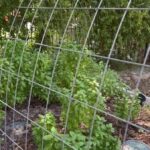 agriculturebox tunnel - vertical