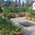 agriculturebox urban farm