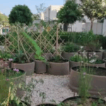 agriculturebox villa pots