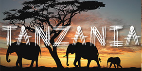 A picture of two elephants walking past a tree with a sunset in the background and the name of the country - Tanzania - written across the image. The sky is filled with clouds, which reflect the light of the sunset in a whole range of colours.
