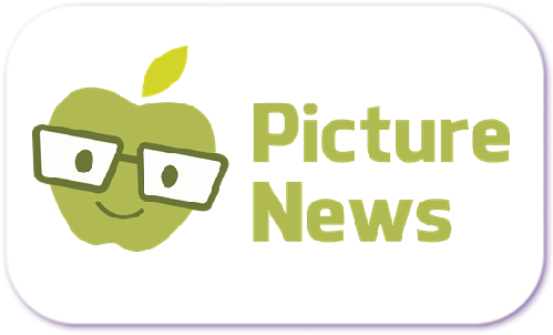 A standardised image for one of Louise Dawson's Partner companies - the company logo within a white rectangle with rounded corner for use on Louise's homepage. Picture News