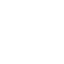 inclusion
